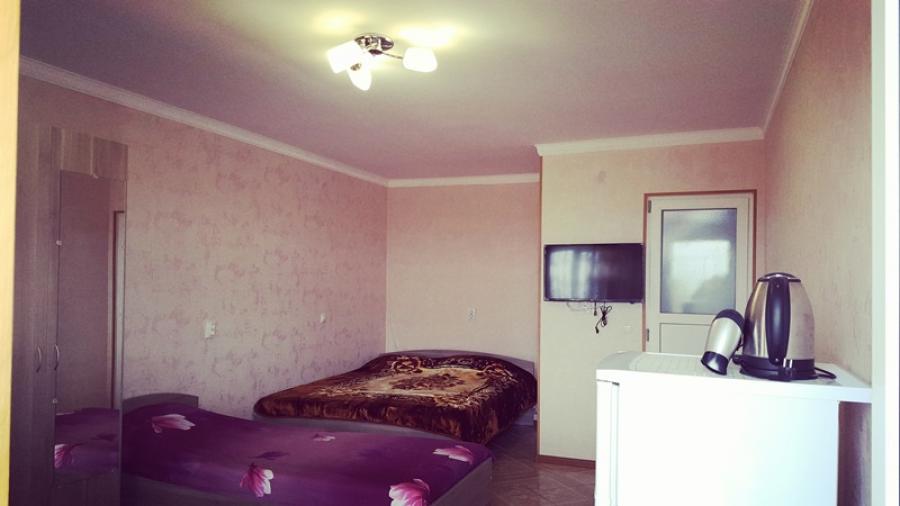 Номер «С удобствами» гостевого дома «Анаида-Sochi» - фото №123548