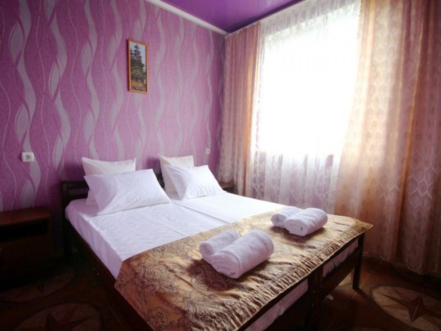 Номер «Апартаменты» гостиницы «Саратов» - фото №139384