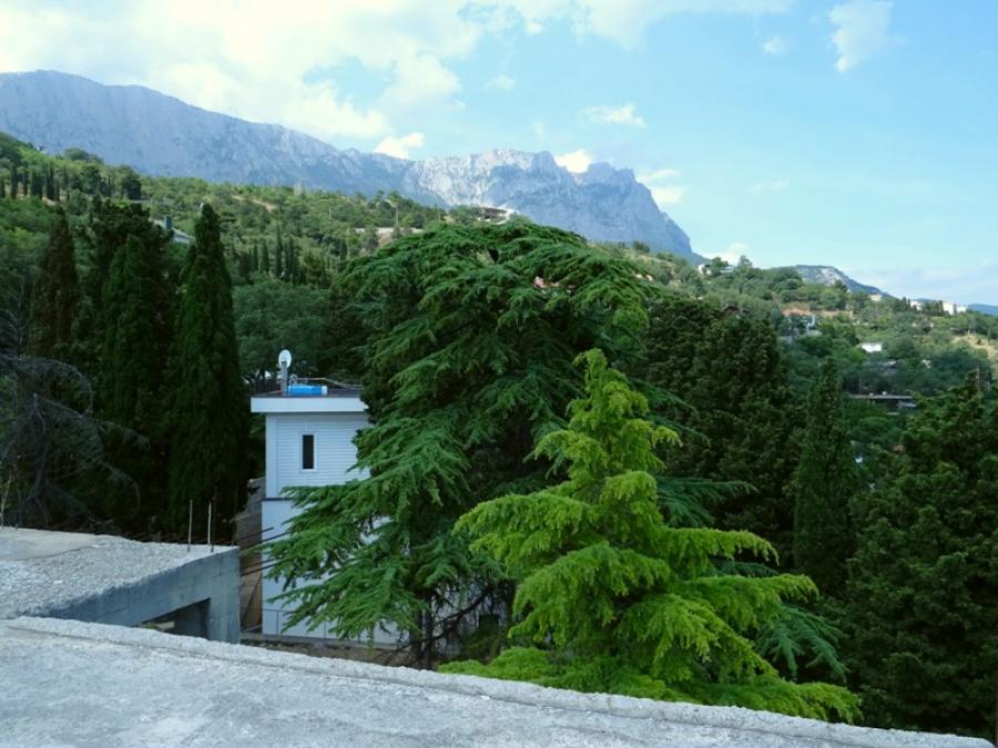 Купить Дом В Алупке Фото
