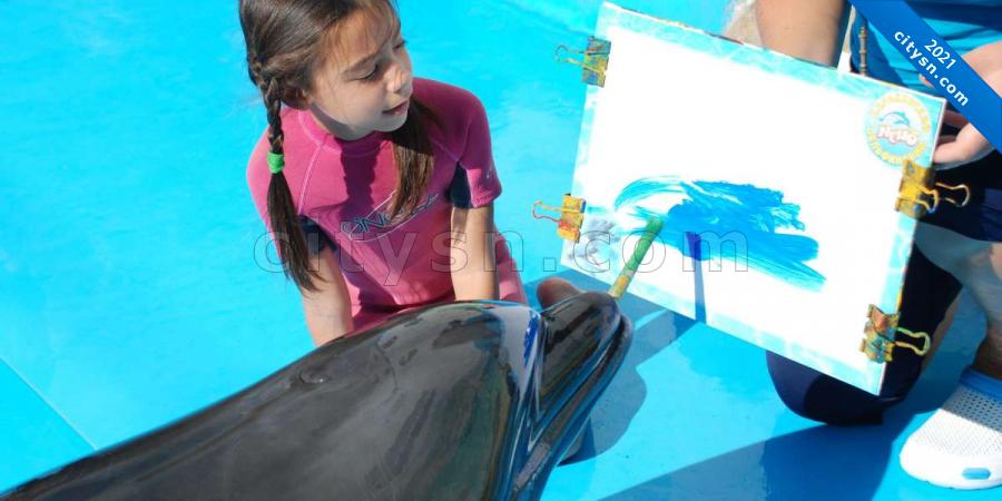 Дельфинотерапия в Алуште в дельфинарии Немо