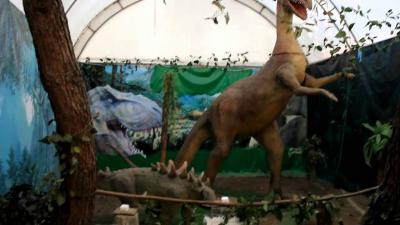 Фото обьекта Выставка динозавров №141595