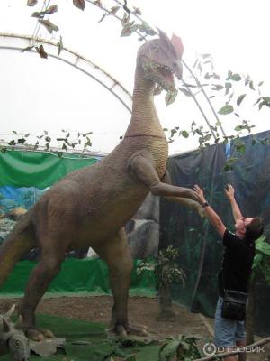 Фото обьекта Выставка динозавров №141597
