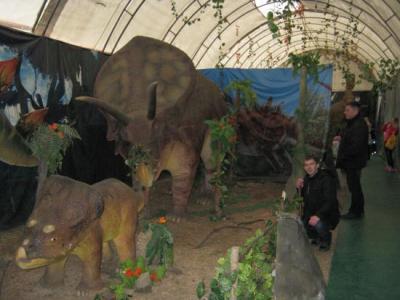 Фото обьекта Выставка динозавров №141598