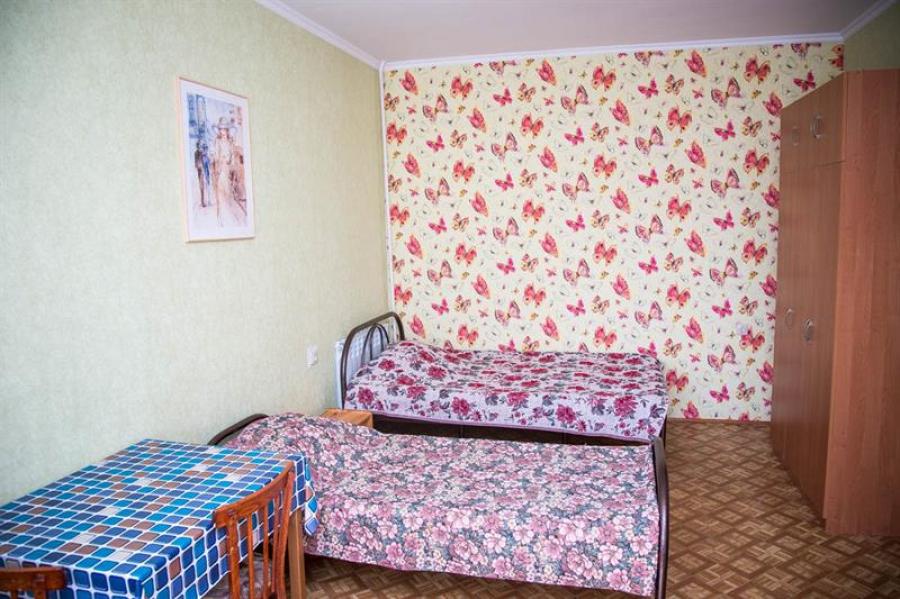 Номер «Стандарт» гостевого дома «Самбурова 102» - фото №93370