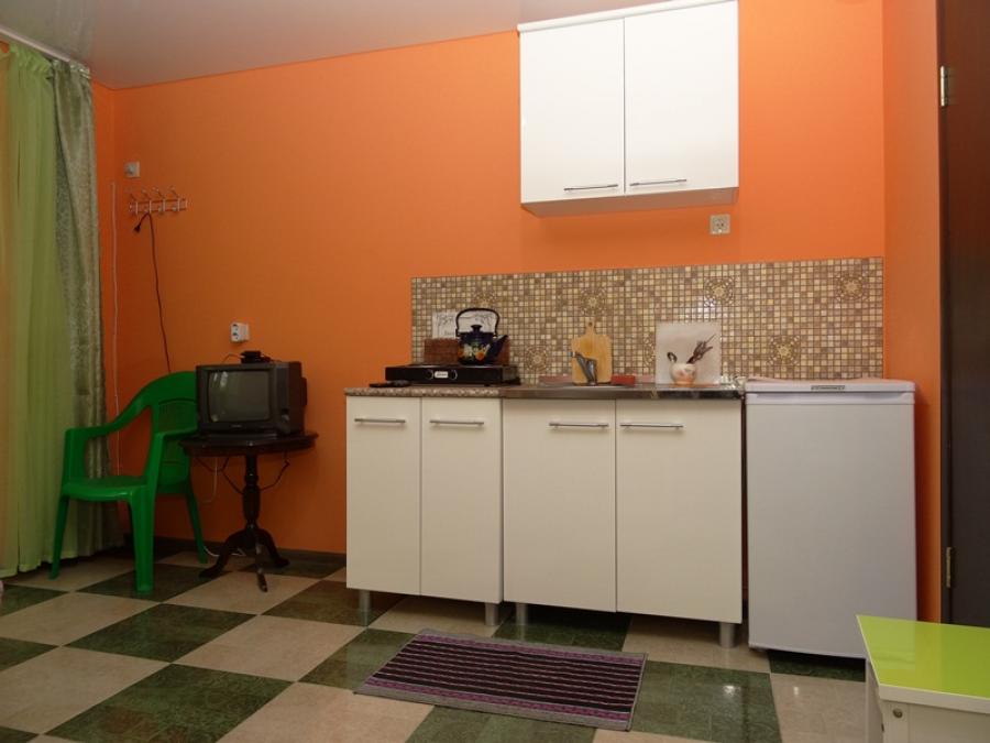 Номер «Студия с кухней» частного сектора «Зеленый Рай» - фото №100926