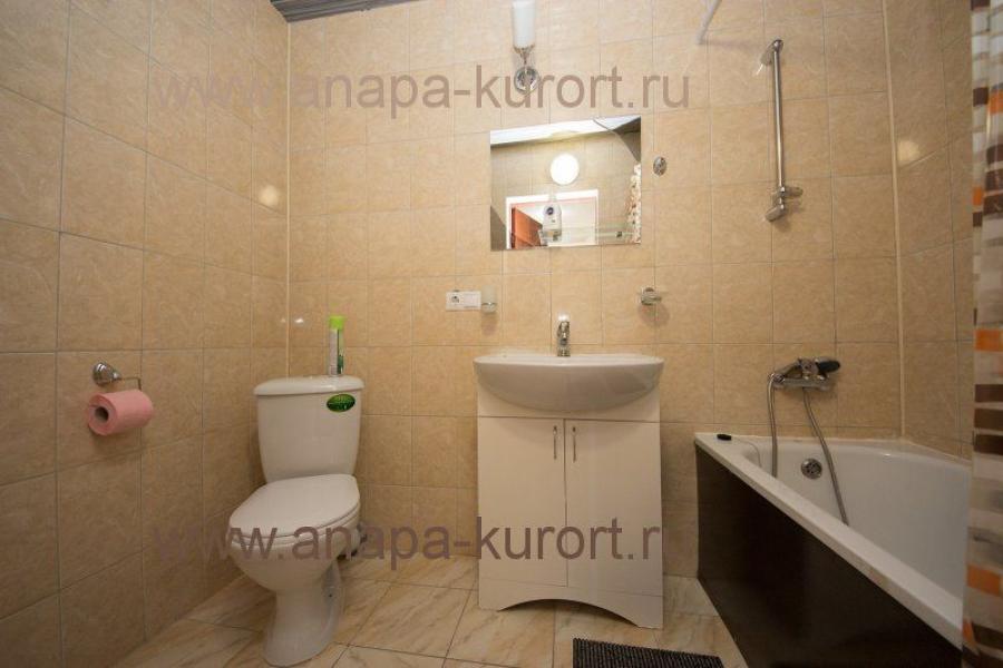 Номер «Апартаменты» гостиницы «Тургеневский» - фото №102959