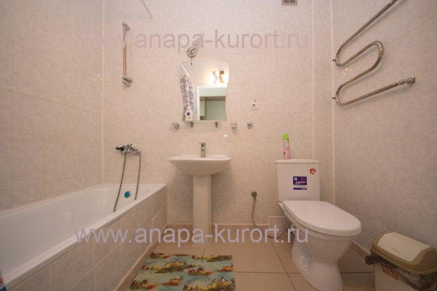 Номер «Апартаменты» гостиницы «Тургеневский» - фото №102960