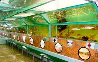 Фото обьекта Эксклюзивный тоннельный аквариум Батискаф №151010