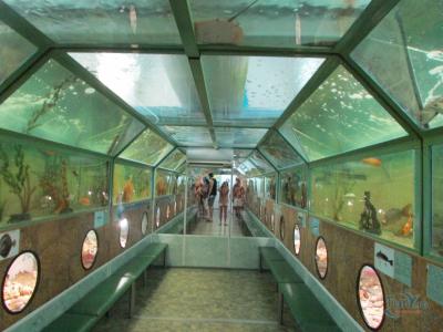 Фото обьекта Эксклюзивный тоннельный аквариум Батискаф №151011