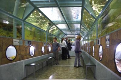 Фото обьекта Эксклюзивный тоннельный аквариум Батискаф №151012