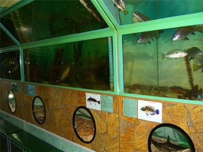 Фото обьекта Эксклюзивный тоннельный аквариум Батискаф №151013