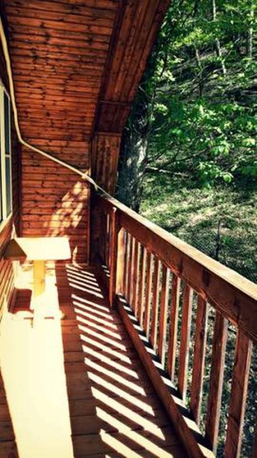 Номер «2х-местный с балконом» базы отдыха «Лесной рай» - фото №115103