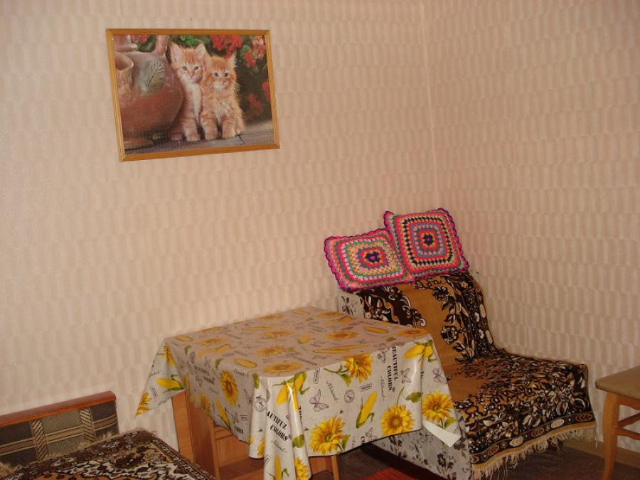 Номер «Домик под-ключ» гостевого дома «У Михалыча» - фото №61599