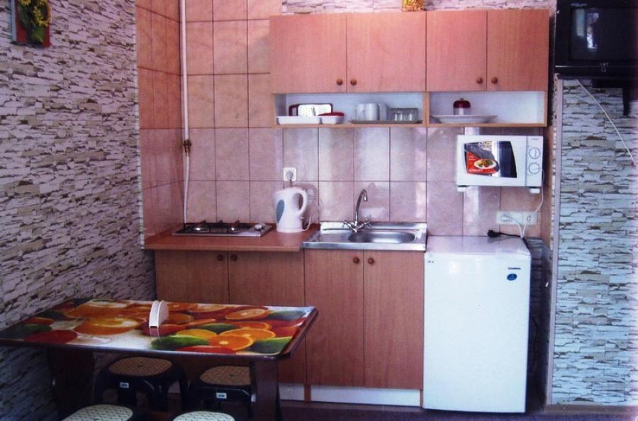 Номер «1-комнатный с кухней» мини-гостиницы «Долис» - фото №115602