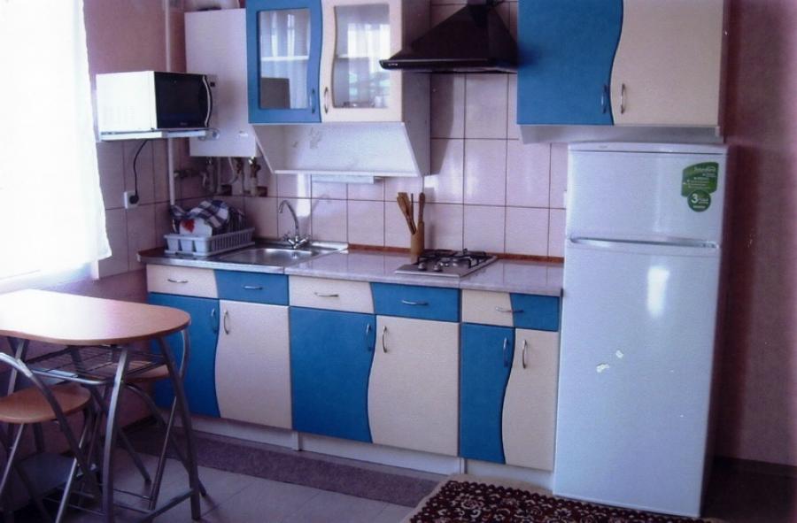 Номер «1-комнатный с кухней» мини-гостиницы «Долис» - фото №115603