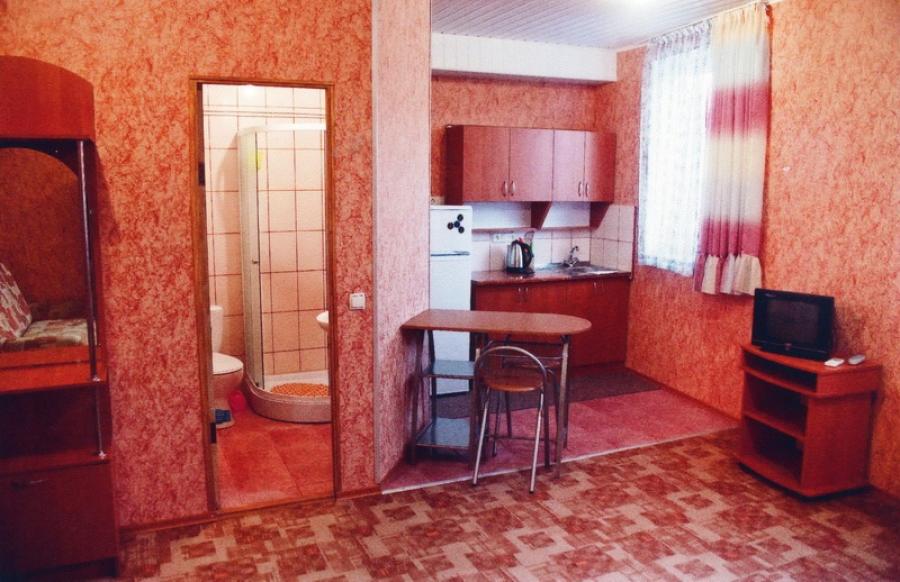 Номер «2х-комнатный с кухней» мини-гостиницы «Долис» - фото №115609