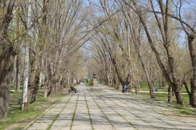 Фото обьекта Комсомольский парк №219670