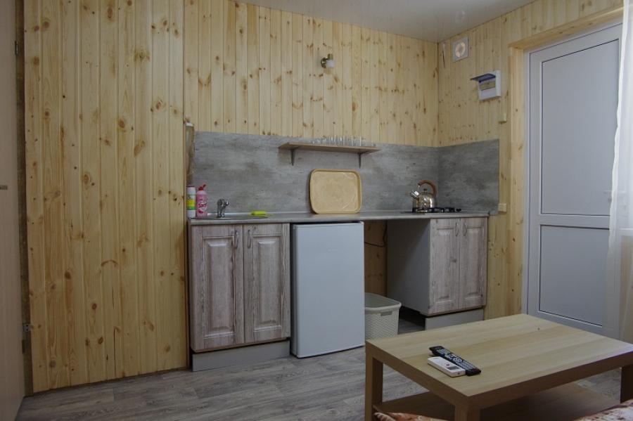 Номер «Люкс 2х-комнатный с кухней» частного сектора «ТаняСаша» - фото №54033