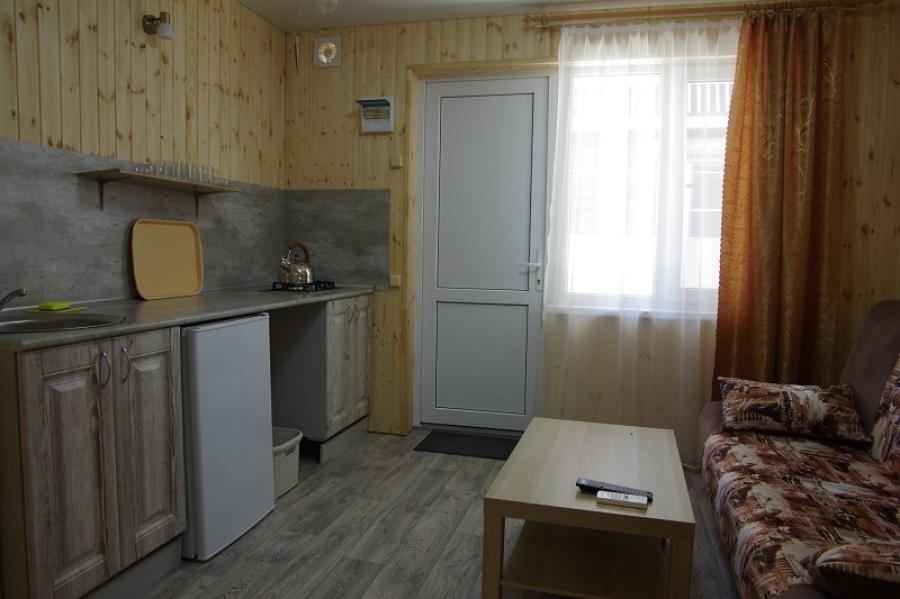 Номер «Люкс 2х-комнатный с кухней» частного сектора «ТаняСаша» - фото №54034