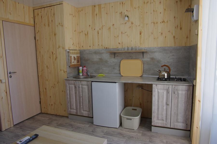 Номер «Люкс 2х-комнатный с кухней» частного сектора «ТаняСаша» - фото №54035