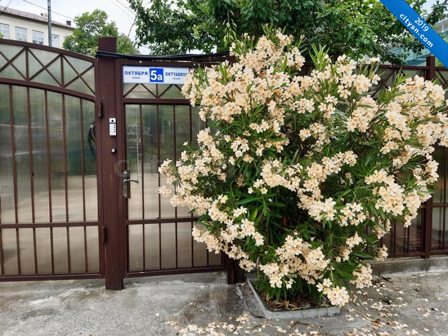 Куплю Дом В Хосте С Фото