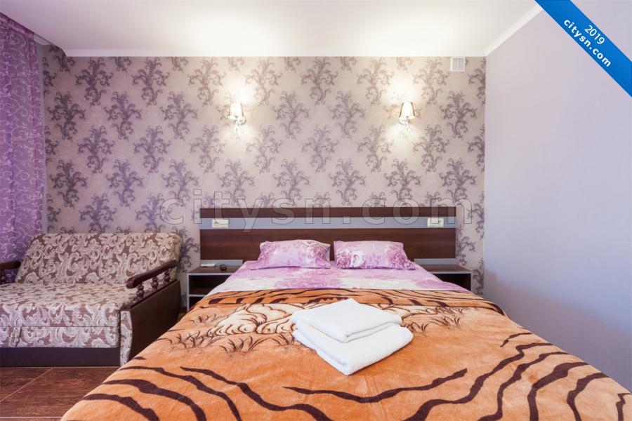 Номер «Двухместный с 1 двуспальной кроватью» гостиницы «Вилла Орхидея» - фото №158439