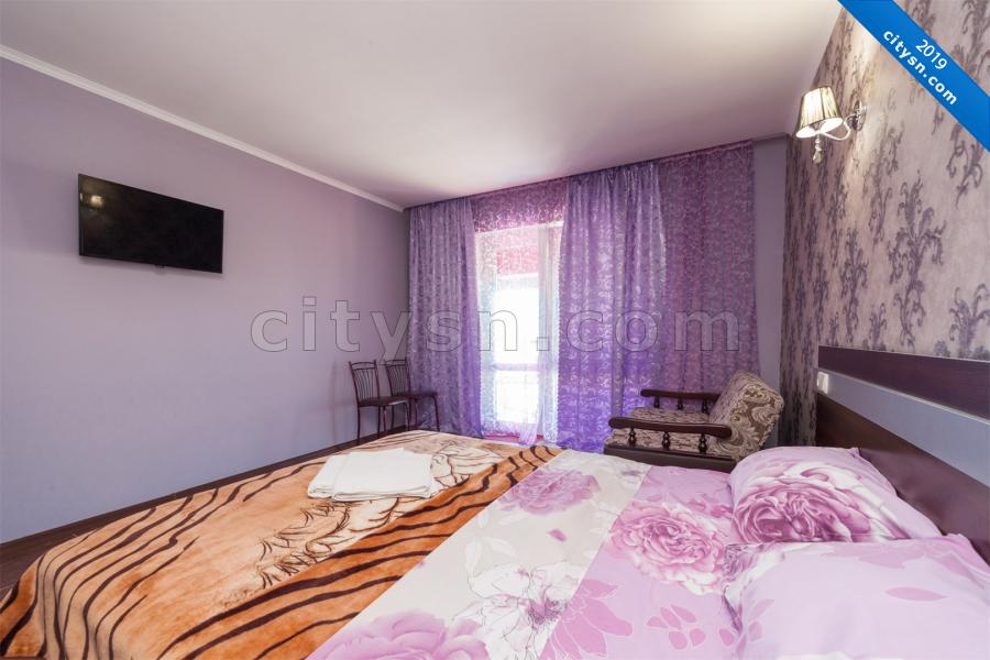 Номер «Двухместный с 1 двуспальной кроватью» гостиницы «Вилла Орхидея» - фото №158441