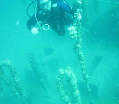 Риф Атлант-М под водой в Коктебеле