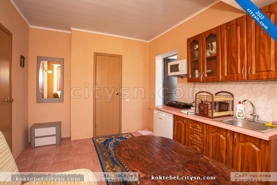 Номер «Однокомнатный апартамент с кухней (второй этаж)» гостевого дома «Casa de Lara» - фото №231281