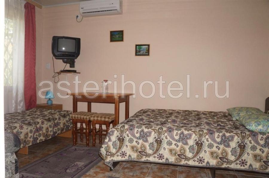 Номер «Эконом +» мини-гостиницы «Астери» - фото №49531