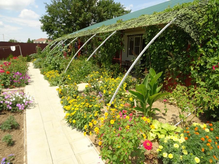 Хутор кучугуры. Кучугуры ильич сады. Шоколад кучугуры гостевой дом. Азовочка кучугуры. Хутор кучугуры.