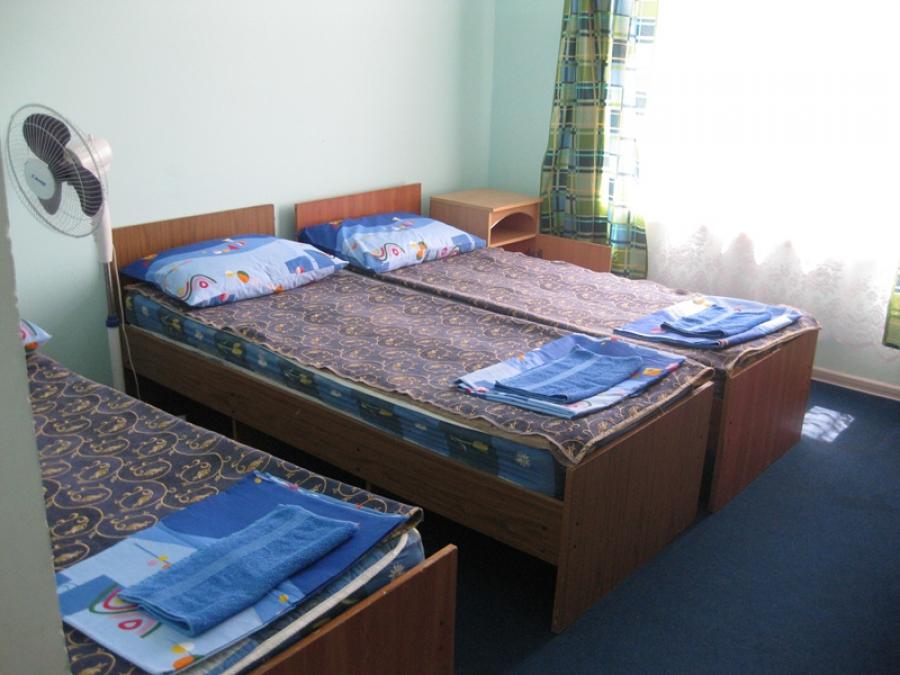 Номер «Стандарт » мини-гостиницы «Горизонт (дом с флагом)» - фото №119980