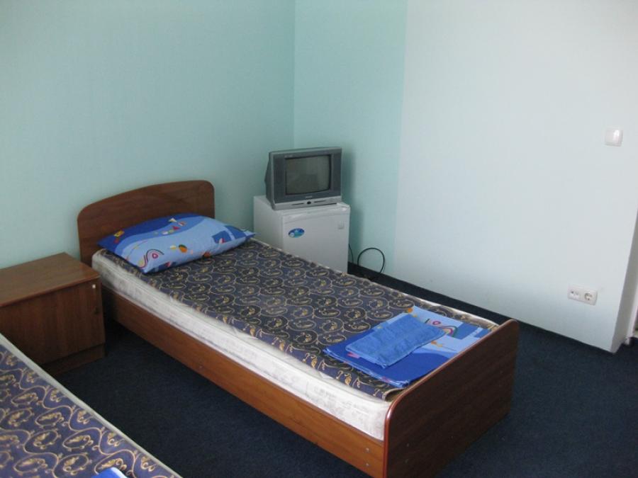 Номер «Стандарт » мини-гостиницы «Горизонт (дом с флагом)» - фото №119983