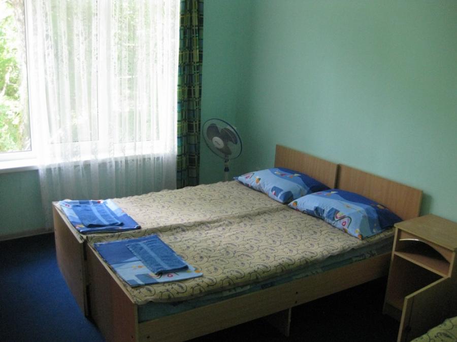 Номер «Стандарт » мини-гостиницы «Горизонт (дом с флагом)» - фото №119988