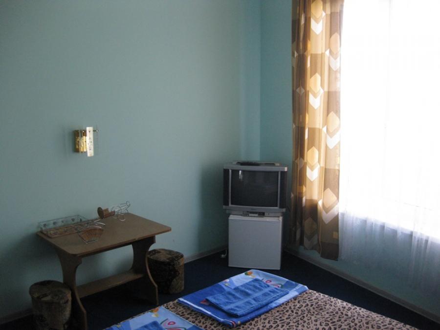 Номер «Стандарт » мини-гостиницы «Горизонт (дом с флагом)» - фото №119991