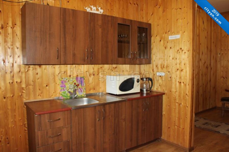Номер «Семейный с кухней» мини-гостиницы «Татьяна» - фото №209471