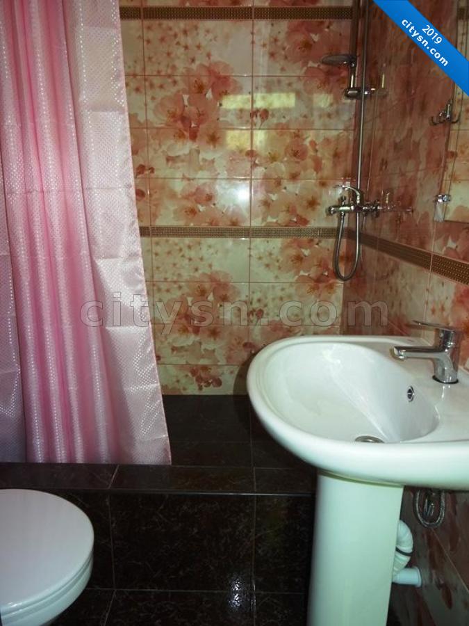 Номер «Стандарт» мини-гостиницы «1000 Роз у Сусанны» - фото №209524