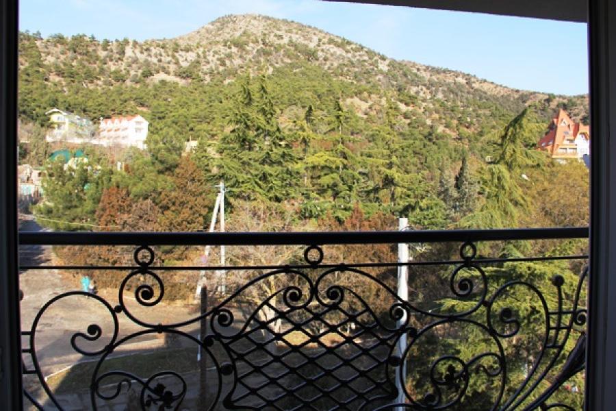 Номер «Студия с видом на горы » гостиницы «Елена Мини-отель» - фото №14090