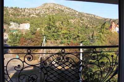Гостиница Елена Мини-отель «Студия с видом на горы »