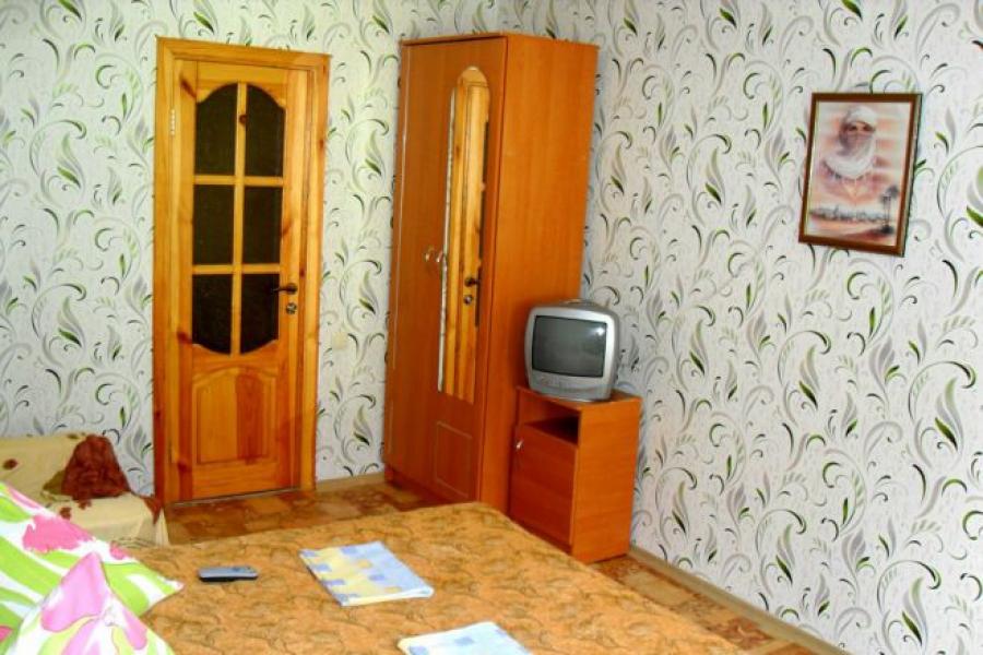 Номер «Стандарт » гостевого дома «На Шаляпина» - фото №14987