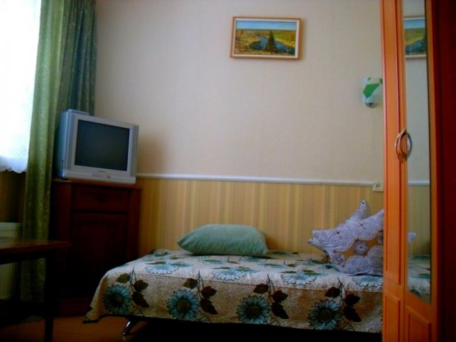 Номер «Стандарт » гостевого дома «На Шаляпина» - фото №15002