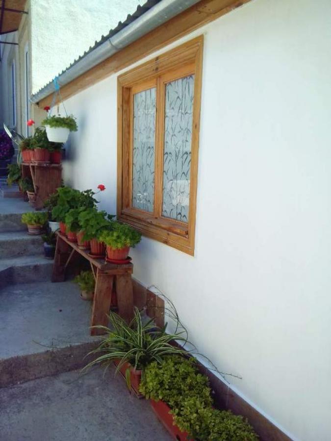 Номер «Деревянный домик» гостевого дома «Инна» - фото №15105