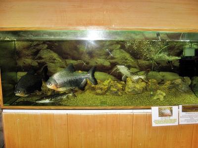 Фото обьекта Черноморский аквариум №148260