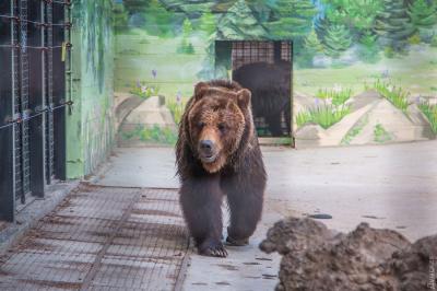 Фото обьекта Одесский зоопарк №172451