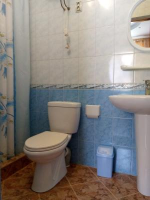 Фото номера Гранатовая усадьба №236647