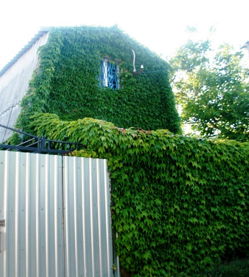 Номер «Зеленый домик отдельный двухэтажный с беседкой-двориком » частного сектора «Домик у моря» - фото №40322