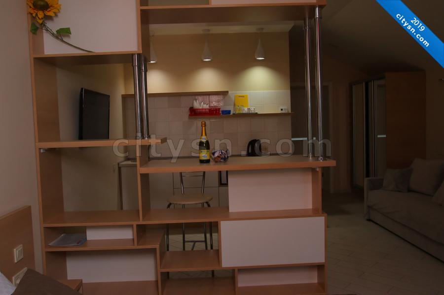 Номер «Апартаменты  (с отельной спальней) » мини-гостиницы «YNA» - фото №151447