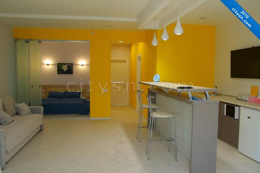 Номер «Апартаменты  (с отельной спальней) » мини-гостиницы «YNA» - фото №151465