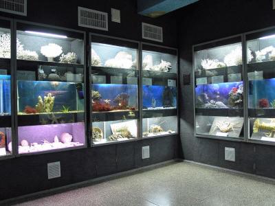 Фото обьекта Севастопольский аквариум №147330