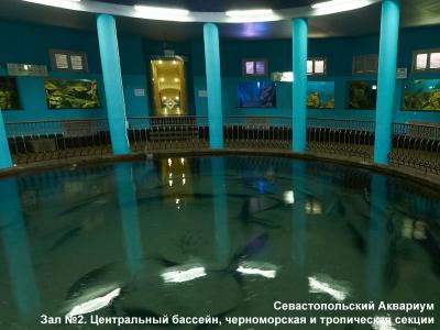 Фото обьекта Севастопольский аквариум №147331